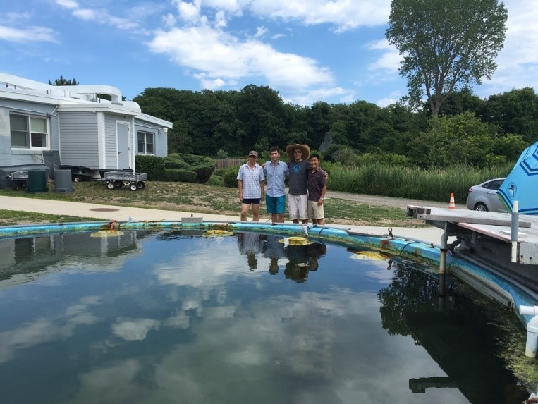students experimenting at a pond