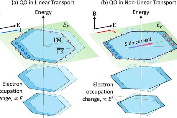 Image for First Observation of Quantum Oscillations in Second-Order Electrical Transport
